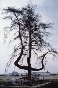 ikona_chernobylskij_spas_3
